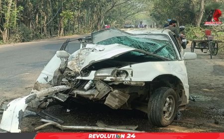 সড়কে ঝরলো বাবা মেয়ের প্রাণ