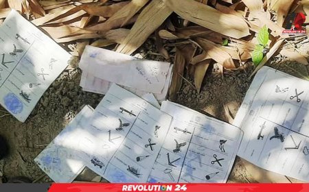 ডিসির বাংলোর গর্তে মিললো দ্বাদশ সংসদ নির্বাচনের বিপুল সংখ্যক সিলমারা ব্যালট