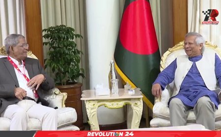 প্রধান উপদেষ্টার সঙ্গে বৈঠকে বিএনপি