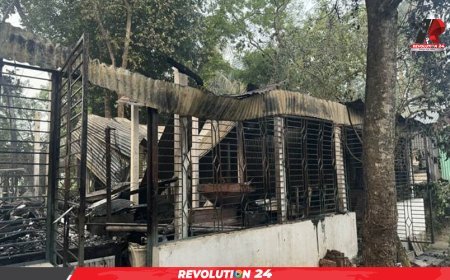 পহেলা বৈশাখের মোটিফ বানানো চিত্রশিল্পীর বাড়িতে দুর্বৃত্তদের আগুন