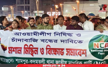চাঁদাবাজি বন্ধ ও আ. লীগ নিষিদ্ধের দাবিতে এনসিপির মশাল মিছিল