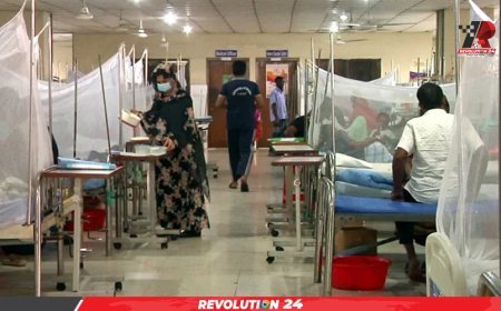 ২৪ ঘণ্টায় ৩৬ জনের ডেঙ্গু শনাক্ত