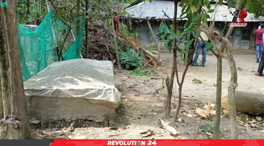 নিজ গ্রামে বাবার কবরের পাশে শায়িত হবেন শহিদ জসিমের মেয়ে লামিয়া