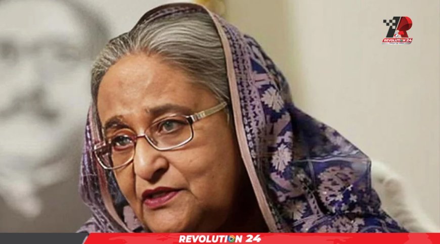‘২২৭ জনকে হত্যার লাইসেন্স পেয়ে গেছি’, অডিওটি শেখ হাসিনার