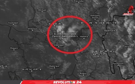 বিকেলের মধ্যে ঢাকার বিভিন্ন এলাকায় বজ্রসহ বৃষ্টির পূর্বাভাস