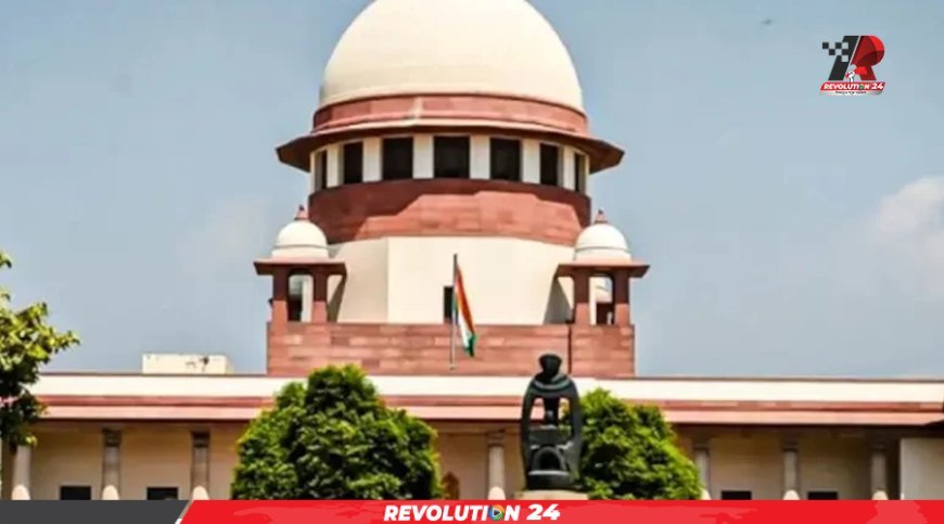 ভারতের বিরুদ্ধে ৪৩ রোহিঙ্গাকে সাগরে ফেলার অভিযোগ, মানতে নারাজ দেশটির আদালত