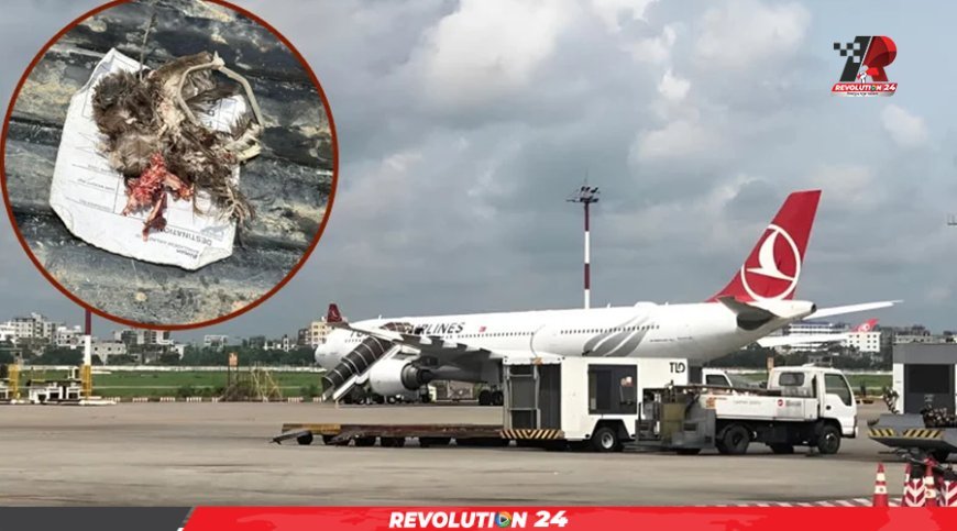 উড্ডয়নের পরই জরুরি অবতরণ: কী ঘটেছিল তার্কিশের সেই প্লেনের ইঞ্জিনে