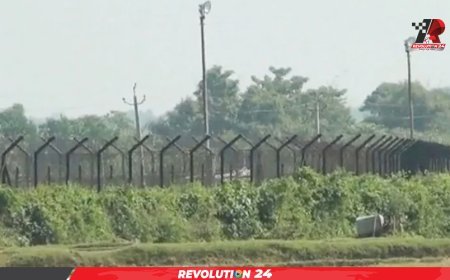 সিলেট ও সুনামগঞ্জ সীমান্ত দিয়ে এক রাতে ৭০ জনকে পুশইন বিএসএফের