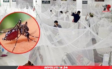 ২৪ ঘণ্টায় ডেঙ্গু আক্রান্ত হয়ে ১০৮ জন হাসপাতালে ভর্তি