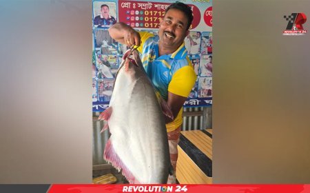 পদ্মার এক পাঙাশ অর্ধ লাখে বিক্রি