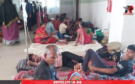 দেশের ২৬ ভাগ ডেঙ্গু আক্রান্ত রোগী বরগুনায়, কারণ জানা নেই স্বাস্থ্য বিভাগের