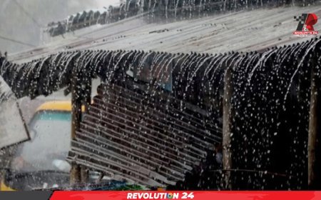 বৃহস্পতিবার পর্যন্ত যেসব বিভাগে হতে পারে ভারি বৃষ্টি