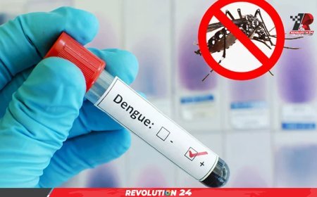 ডেঙ্গু আক্রান্ত হয়ে আরও ২৪৮ জন হাসপাতালে ভর্তি