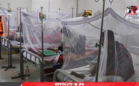 ডেঙ্গুতে একদিনে আরও ২ মৃত্যু, হাসপাতালে ১৯৫