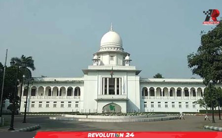 যে মামলা ঘিরে দেশ ছাড়তে বাধ্য হন এস কে সিনহা, তা স্থগিত করলেন আপিল বিভাগ