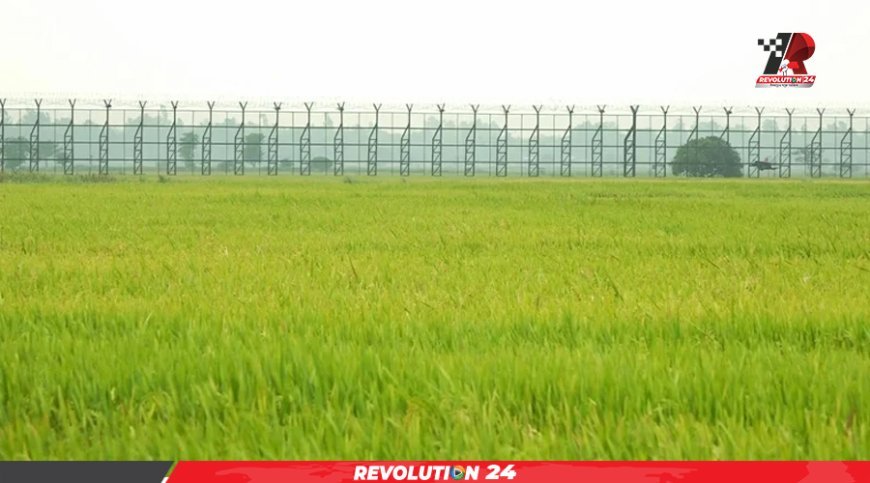 কুলাউড়া সীমান্তে বিএসএফের গুলিতে বাংলাদেশি যুবক নিহত