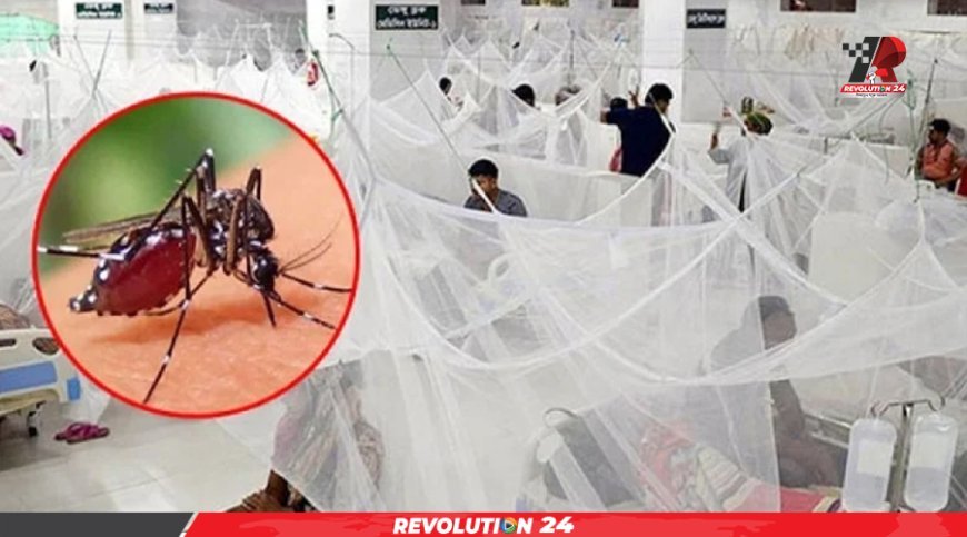 ২৪ ঘণ্টায় ডেঙ্গু আক্রান্ত হয়ে ১০৮ জন হাসপাতালে ভর্তি