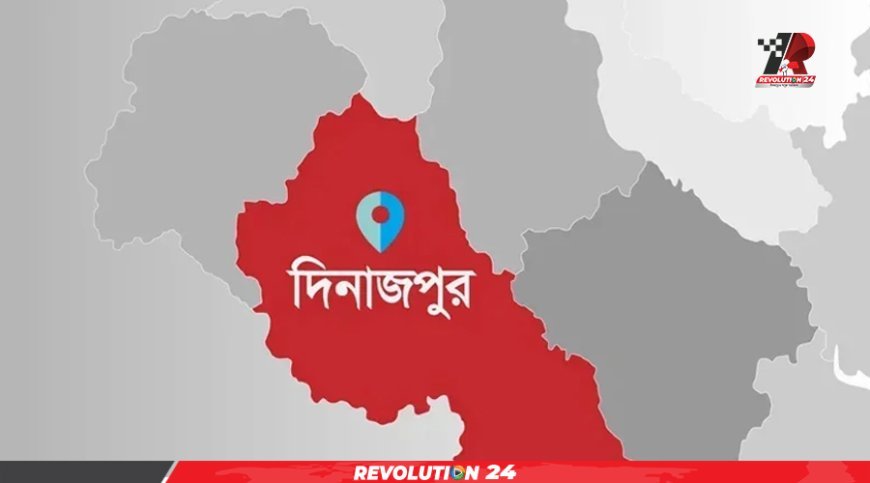 দিনাজপুরে বাস-ট্রাক সংঘর্ষে নিহত ৫