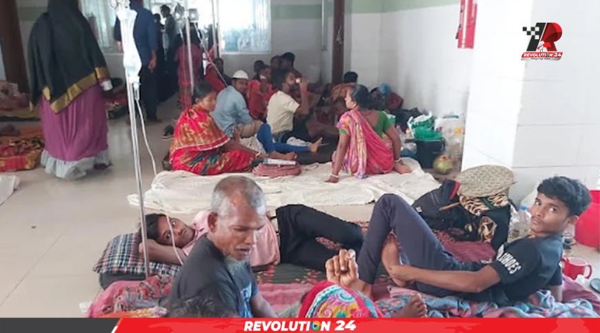 দেশের ২৬ ভাগ ডেঙ্গু আক্রান্ত রোগী বরগুনায়, কারণ জানা নেই স্বাস্থ্য বিভাগের