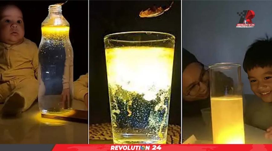 অন্ধকারে জ্বলজ্বল করছে সোনালি পানি: কীভাবে তৈরি করবেন ভাইরাল ‘গ্লোয়িং ওয়াটার’