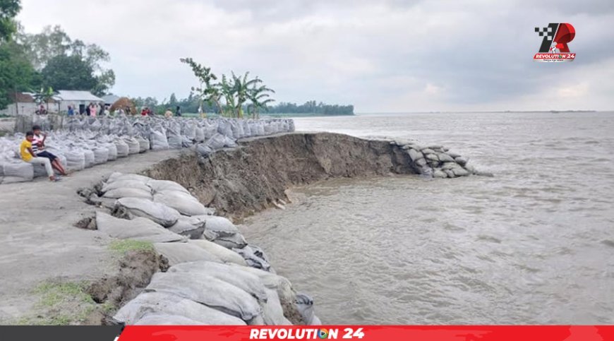 বর্ষার শুরুতেই আগ্রাসী রুপে যমুনা, দুঃশ্চিন্তায় নদী পাড়ের মানুষ
