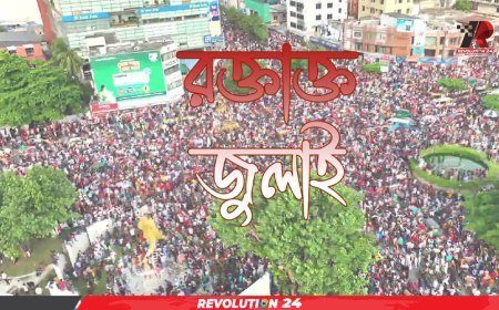 বছর ঘুরে ফিরলো রক্তাক্ত জুলাই