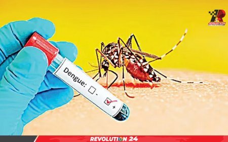 ডেঙ্গুতে আরও ১ জনের মৃত্যু, আক্রান্ত  ৩৮৬