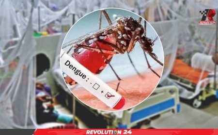 ডেঙ্গুতে আরও ১ জনের মৃত্যু, হাসপাতালে ভর্তি ৩৫৮