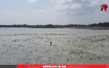 প্রাথমিক হিসাবে ফেনীতেই বন্যায় ক্ষতি ১৪৬ কোটি টাকা, চূড়ান্ত হিসাবে আরও বাড়বে