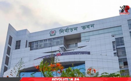 ইসির ওয়েবসাইট থেকে সরিয়ে ফেলা হয়েছে আ. লীগের নৌকা প্রতীক