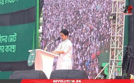 আমাদের নতুন সংবিধান লাগবে, জামায়াতের সমাবেশে সারজিস