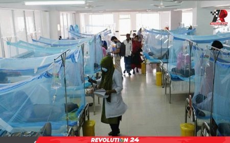 ডেঙ্গুতে একদিনে ৪ মৃত্যু, ৩ জনই ঢাকার