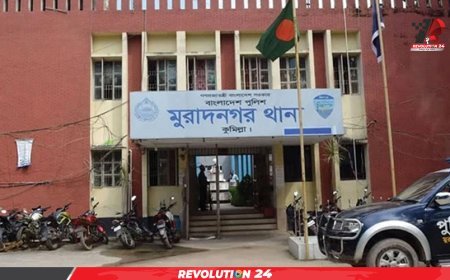 কুমিল্লার মুরাদনগরে ধর্ষণের ঘটনায় যেসব পদক্ষেপ নেয়া হয়েছে