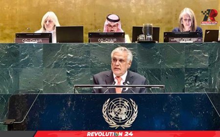 জাতিসংঘে ফিলিস্তিন ইস্যুতে সোচ্চার পাকিস্তান ও ফ্রান্স