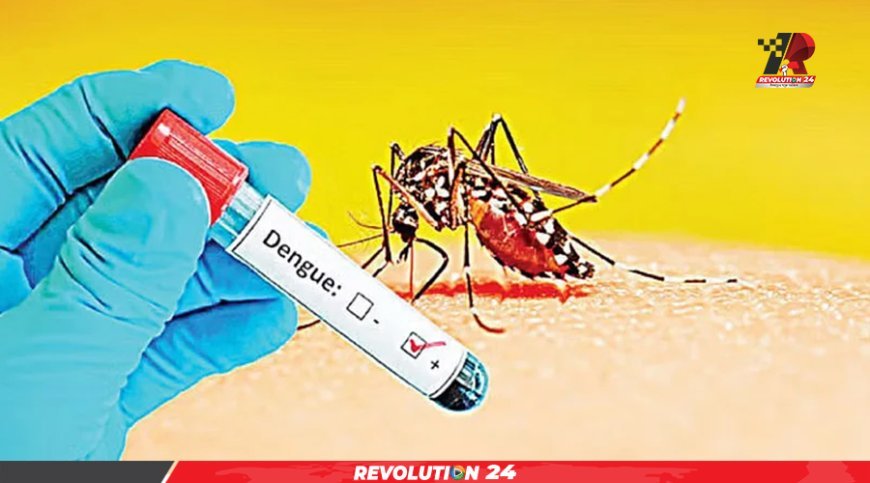 ডেঙ্গুতে আরও ১ জনের মৃত্যু, আক্রান্ত ৩৮৬