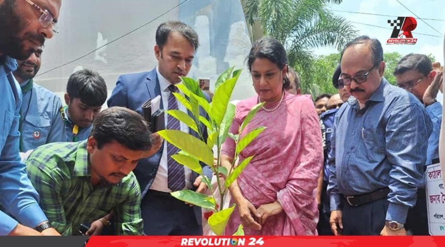 উন্নয়নের ধারা টেকসই করতে গাছ লাগানোর আহ্বান পরিবেশ উপদেষ্টার