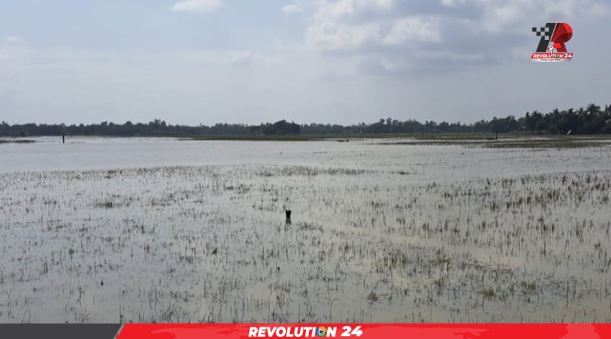 প্রাথমিক হিসাবে ফেনীতেই বন্যায় ক্ষতি ১৪৬ কোটি টাকা, চূড়ান্ত হিসাবে আরও বাড়বে