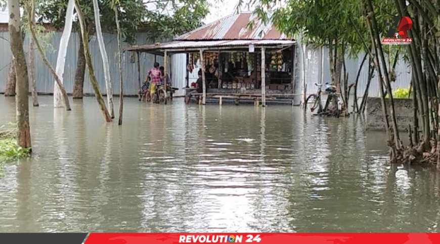 তিস্তার পানি কমলেও লালমনিরহাটের ১৫ গ্রাম প্লাবিত, ৫ হাজার পরিবার পানিবন্দি