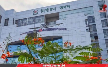 জাতীয় নির্বাচন আয়োজনের প্রস্তুতি নিতে ইসিকে প্রধান উপদেষ্টার কার্যালয়ের চিঠি