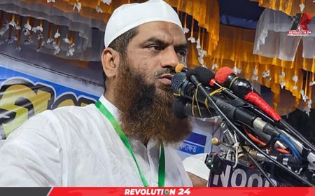 জুলাই ঘোষণাপত্র ইসলামপন্থীদের অবমাননা: মামুনুল হক