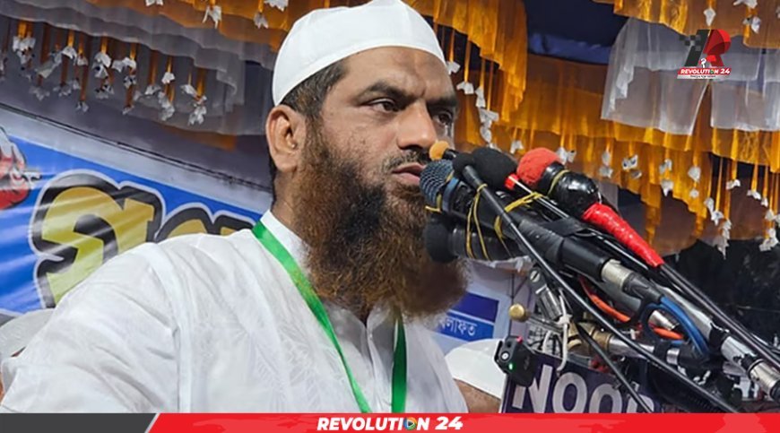 জুলাই ঘোষণাপত্র ইসলামপন্থীদের অবমাননা: মামুনুল হক