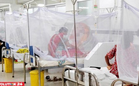 ডেঙ্গুতে মৃত্যু-শনাক্ত বাড়ছে অস্বাভাবিক হারে