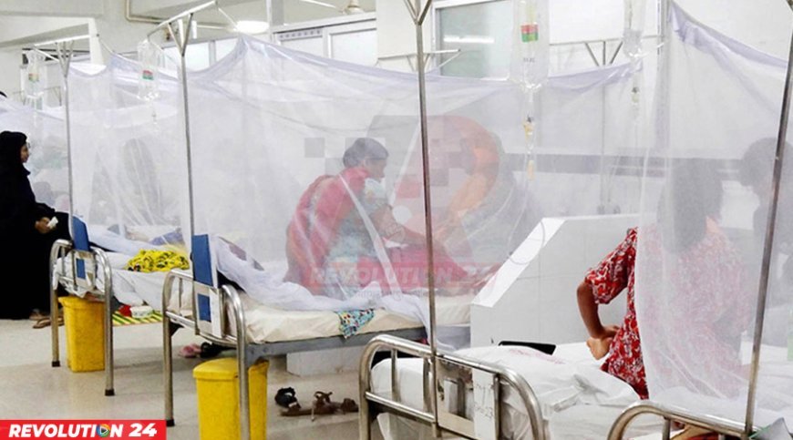 ডেঙ্গুতে মৃত্যু-শনাক্ত বাড়ছে অস্বাভাবিক হারে