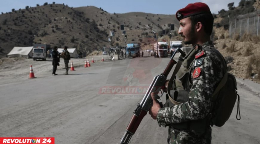 আফগানিস্তানকেও ভারতের মতো জবাব দেওয়া হবে: পাকিস্তানের স্বরাষ্ট্রমন্ত্রী