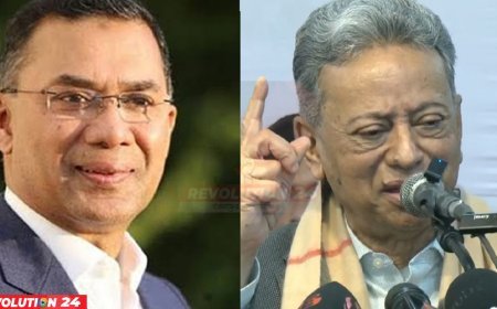 তারেক রহমান গণতন্ত্রের মশাল বহনকারী: আমীর খসরু