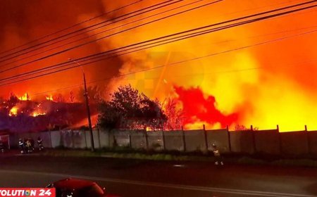 চিলিতে ভয়াবহ দাবানলে নিহত ১৮, জরুরি অবস্থা জারি