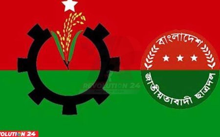 সাতক্ষীরায় বিএনপি-ছাত্রদলের ৩০ নেতাকর্মী বহিষ্কার