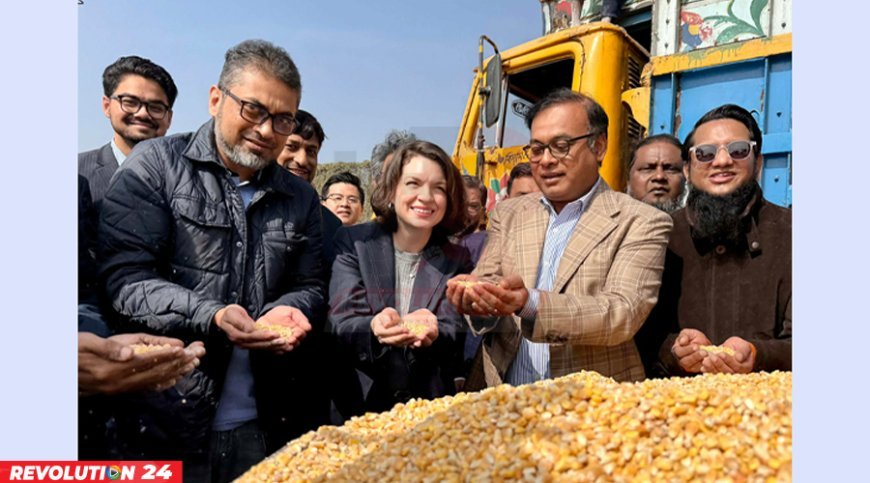 ২০১৮ সালের পর প্রথমবারের মতো বাংলাদেশে পৌঁছাল যুক্তরাষ্ট্রের ভুট্টার চালান