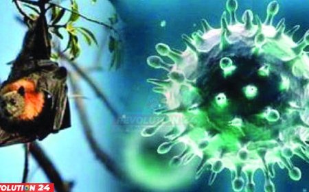 বাংলাদেশে নিপাহ ভাইরাসে আক্রান্ত নারীর মৃত্যু, জানাল বিশ্ব স্বাস্থ্য সংস্থা