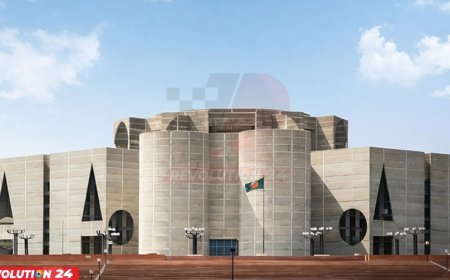 প্রধানমন্ত্রীর অনুপস্থিতিতে সংসদে দায়িত্বে থাকবেন মির্জা ফখরুল ও সালাহউদ্দিন আহমদ